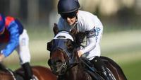 Portelli has Golden Rose aspirations for Dio D’Oro