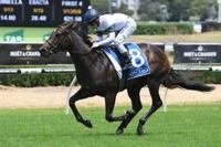 She Will Reign to return in Missile Stakes