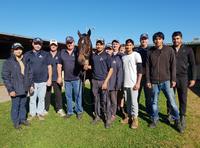 Farewell to a very special mare - She Will Reign
