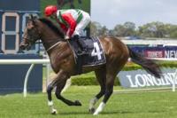 Exceltic to put Golden Rose on the line