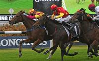 Portelli will launch new two-year-old Reign – rain, hail or shine