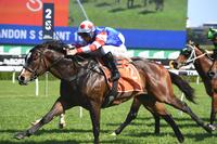 Single Bullet ready to fire at Rosehill