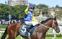 Weighty Cameron Task For Le Romain
