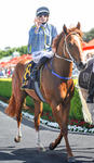 Colt's Test For Coolmore Tilt