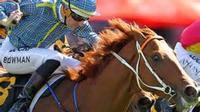On Guard For Oakleigh Plate Tilt