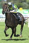 Dal Cielo Sprints To Scone