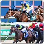 Stable Pair Drew Well For Doncaster