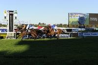 Doncaster Hope To Gallop Between Races