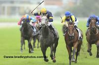 Winkers Back On Le Romain