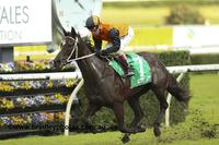 Wet Makes Knit 'N' Purl Hawkesbury Pick