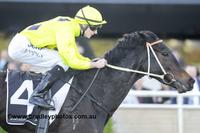 Danish Twist Chasing Group 1 Glory Of Her Own