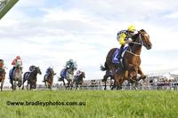 Clearly No Choice But To Run In $700,000 Cup