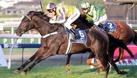 Kiwi Joins Kris' Stable