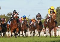 Clearly Kris' Best Stradbroke Chance