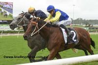 Stablemates To Trial Again