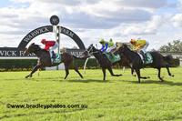 Code Fitter For Stable Debut