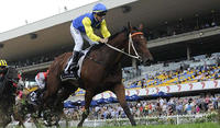 Schofield Back On Le Romain In Missile