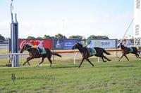 Sasso Corbaro Off For A Spell