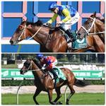 Stablemates To Trial At Randwick On Monday