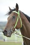Artlee Wins Another Trial