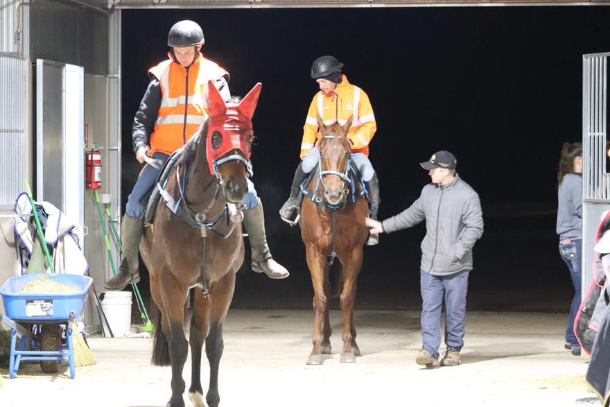 Horse Training Facilities Cameron Crockett Racing