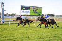 Ultimate Fantasy set to resume at Scone on Monday