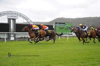 Duo bound for Warwick Farm on Wednesday