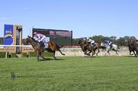 Quartet bound for Wyong on Tuesday