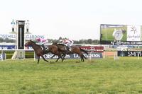 King Viv bound for Royal Randwick on Saturday