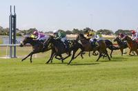 Meiner Freccia returns to Warwick Farm on Wednesday