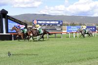 Mo The Great bound for Warwick Farm on Wednesday