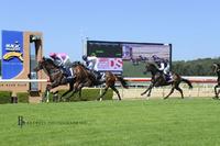 Wyong Tuesday
