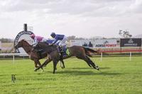 Boca Grande resumes victorious at Muswellbrook