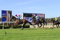 Race To Race Double for Waugh Racing
