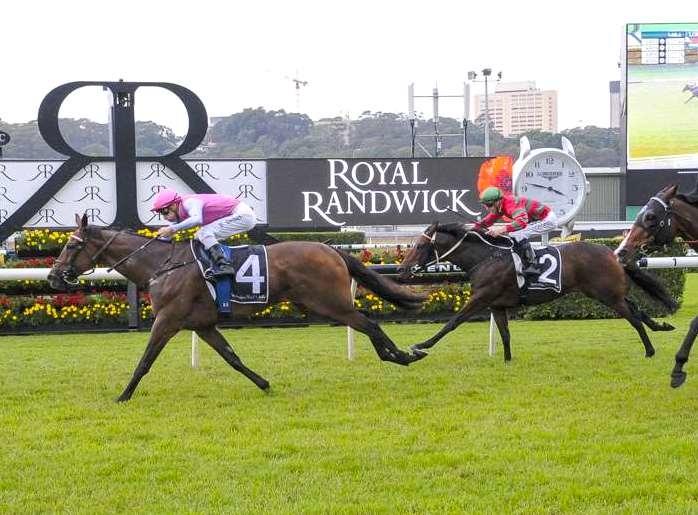 Goathland Set to Resume at Wyong Trials on Tuesday