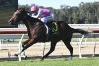 Three Runners for the Team today at Wyong!