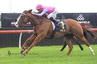 The Big Fella Resumes on Tuesday at Randwick