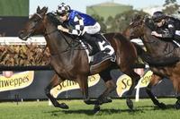 Our Century bound McKell Cup on Saturday