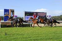 Trumbull set to fly the flag at Wyong on Saturday