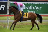 King Hewitt takes the step up to Metropolitan racing on Wednesday