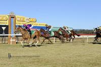 White Boots Heads to Tuncurry Cup on Friday!