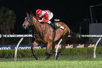 II Mio Destino set to resume at Royal Randwick on Saturday