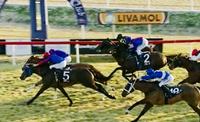 Pretty Boy Builds on his Imposing Winning Record!