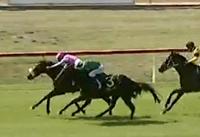 3 Great Chances head to Muswellbrook on Tuesday
