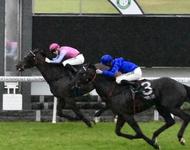 Manhattan Mist Resumes at Newcastle Trials on Monday!