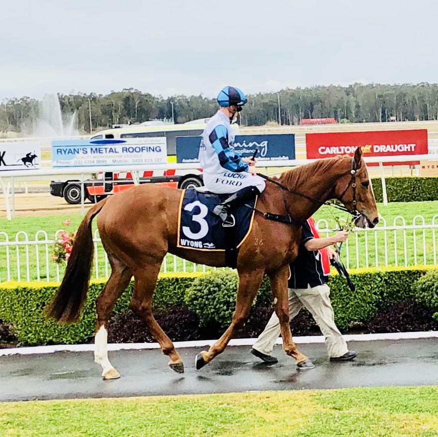 Australian Horse Trainer Kim Waugh Racing Stables