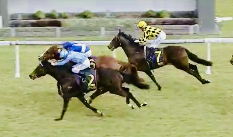 Joy For Us on Target for Gosford on Wednesday!