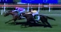 Mo The Great Heads Back to the Races on Wednesday!