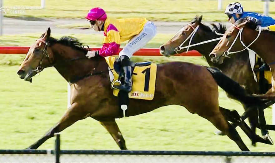 Australian Horse Trainer Kim Waugh Racing Stables