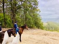 Off the Track Horses Enjoying Life at Mahtoum Lodge!
